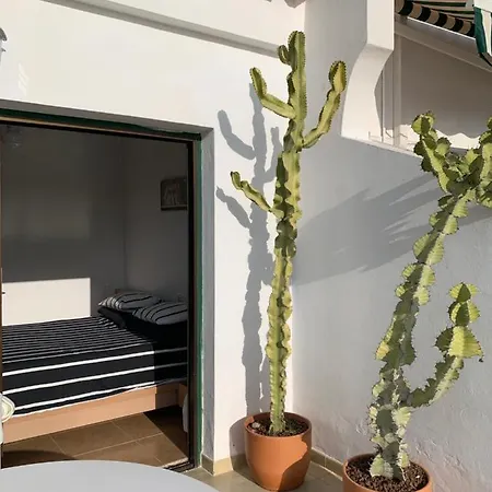 Bright With Pool In Tenerife South Appartement
