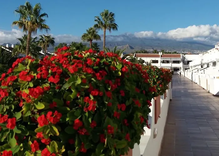 Bright With Pool In Tenerife South Costa Del Silencio