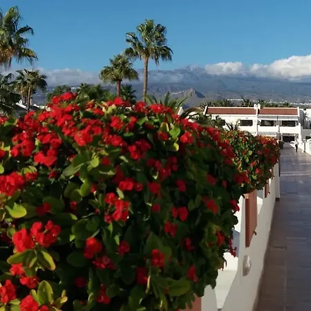 Bright With Pool In Parque Don Jose -tenerife South Costa Del Silencio