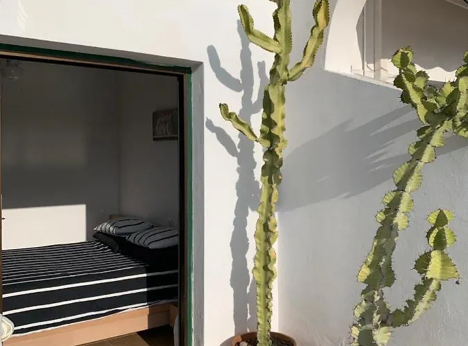 Bright With Pool In Tenerife South Apartment